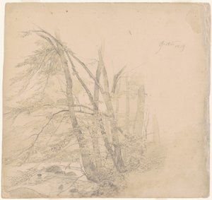 Yönetmek by Emanuel Gottlieb Leutze
