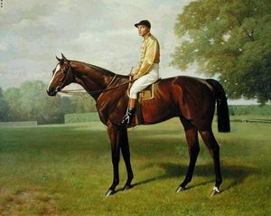 "Uçan Tilki", 1899 Derbisinin Galibi, 1899