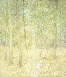 Orman Manzarası by Emil Carlsen