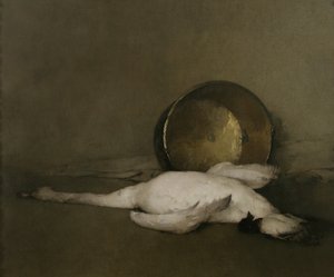 Vahşi Kuğu, 1902