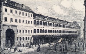 Viyana