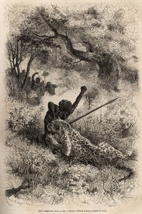Bambare (Kongo) yakınlarında bir leopar bir adamın üzerine atlar ve acımasızca sırtından ısırır, Emile Bayard
