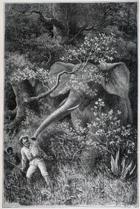 Livingstone, "Le Tour du Monde"da bir fil tarafından şaşırttı by Emile Antoine Bayard