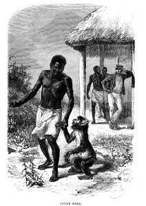 Afrika