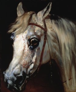 Arap atı başı, 1840-50 dolayları (tuval üzerine yağlı boya) by Emile Jean Horace Vernet