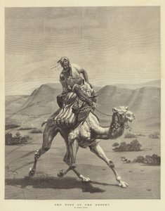 ಮರುಭೂಮಿ ಟರ್ಕಿಯ ಪೋಸ್ಟ್