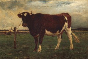 İnek Çalışması, 1870?90