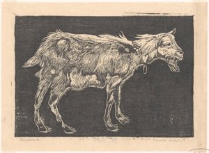 Keçi by Emilius Wilhelmus Dehé (signed by artist)