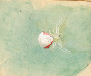  by Emma Beach Thayer