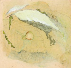 by Emma Beach Thayer