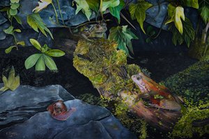 Pond Life, 2021 (tuval üzerine yağlıboya) by Emma Pewsey