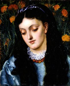 La Belle Jaune Giroflee (panelde yağ)