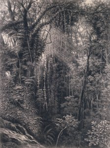 Apia, Upolu, Batı Samoa, 1877'nin üzerindeki Gorge'un görünümü (kağıt üzerinde kömür)