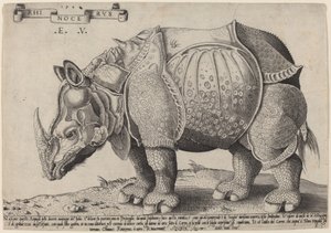 Gergedan by Enea Vico after Albrecht Dürer