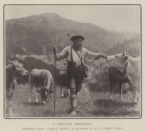 Brescian Çobanı by English Photographer