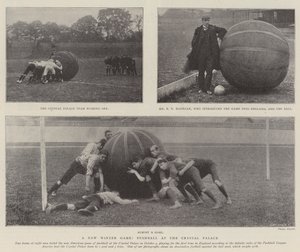 Yeni Bir Kış Oyunu, Crystal Palace