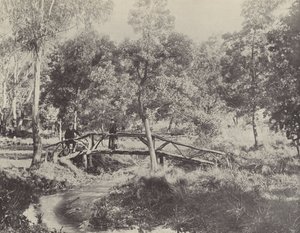 Rustik Bir Köprü, Ballarat Su Rezervi by English Photographer