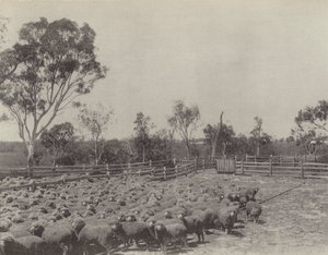 Güney Queensland