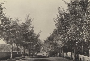 Aldeburgh, Westfields Caddesi (s/b fotoğraf) by English Photographer