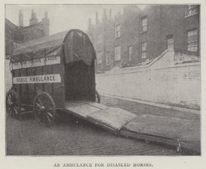 Engelli Atlar İçin Ambulans by English Photographer