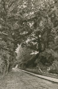 Bonchurch Yolu, Wight Adası by English Photographer