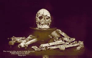 A G H Gough tarafından keşfedilen 40.000 ila 80.000 yıllık tarih öncesi bir insana ait kemikler (renkli fotoğraf) by English Photographer