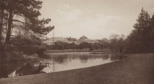 Botanik Bahçeleri, Cambridge (s/b fotoğraf) by English Photographer