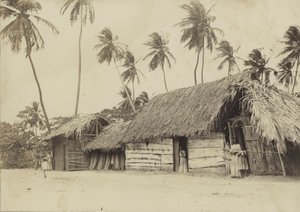 Bridgetown, Barbados, kulübeler by English Photographer