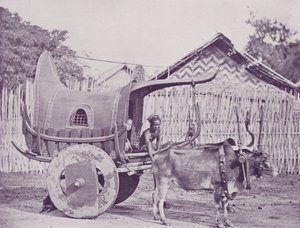 Birmanya Arabası ve Çifti by English Photographer