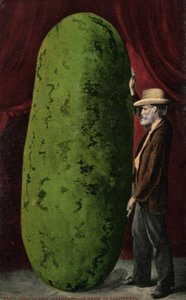 Kaliforniya karpuzu (renkli fotoğraf) by English Photographer
