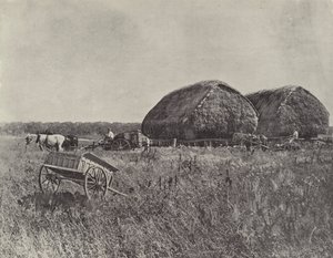 Canning Downs İstasyonu by English Photographer