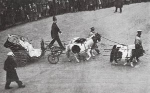 Cinderella#39;nın koçu, Lord Mayor#39;s Show, Londra (s/b fotoğraf) by English Photographer