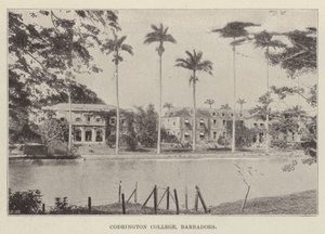 Codrington Koleji, Barbados by English Photographer