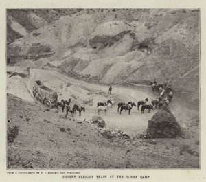 Boraks Kampında Çöl Yük Treni by English Photographer