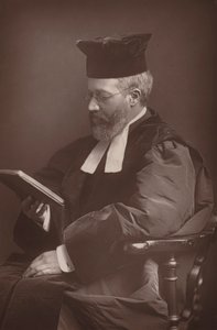 Adler by English Photographer