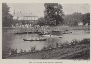 Müzayedeyle satılan Eel Pie Island by English Photographer