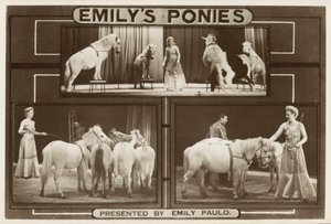 Emily Paulo ve performans gösteren eğitimli midillileri (s/b fotoğraf) by English Photographer