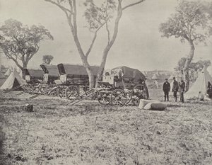 Mühendisler Kampı, Langwarrin, Victoria by English Photographer