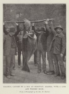 Halibut, Skagway, Alaska