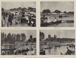 Henley Yarışı