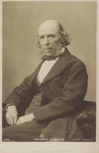Herbert Spencer (1820-1903), İngiliz filozof, siyaset kuramcısı, biyolog ve sosyolog by English Photographer