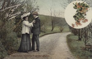 Hanımeli - Cömert ve özverili sevgi by English Photographer