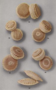 Badem ezmesi broşürü için örnek (renkli fotoğraf) by English Photographer
