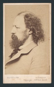 Lord Tennyson, kartvizit by English Photographer