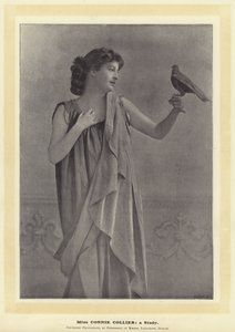 Bayan Connie Collier: Bir Çalışma