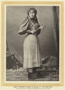 Yaban Ördeği