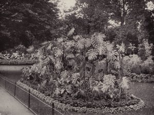 Battersea Park