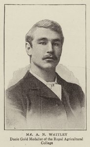 Bay AN Whitley by English Photographer