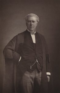 Bay Frank Lockwood, Kalite Kontrol, Milletvekili by English Photographer