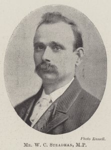 Bay WC Steadman, Milletvekili by English Photographer